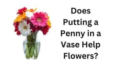 Does Putting a Penny in a Vase Help Flowers